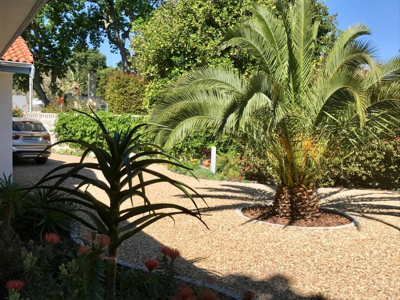 Grenadilla (Adults Only) Apartment Constantia Bagian luar foto