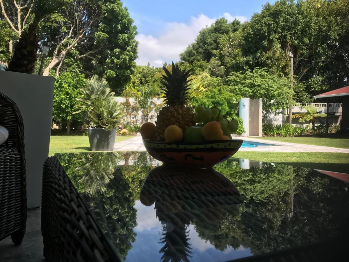 Grenadilla (Adults Only) Apartment Constantia Bagian luar foto